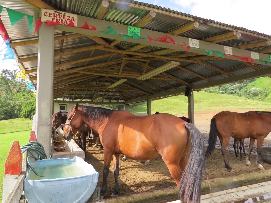 Finca Recreacional Marcelandia Santa Rosa de Cabal Exterior foto